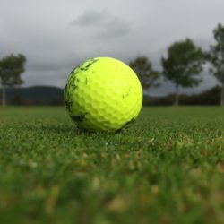 9 hole round of golf