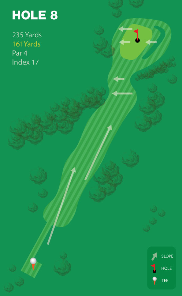 Hole 8 - Lakeside Golf Course